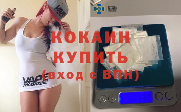 прущие грибы Иннополис