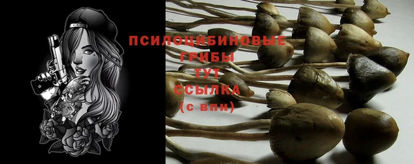 прущие грибы Иннополис