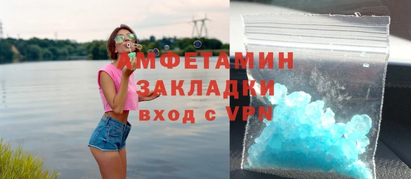 ГАЛЛЮЦИНОГЕННЫЕ ГРИБЫ Инсар