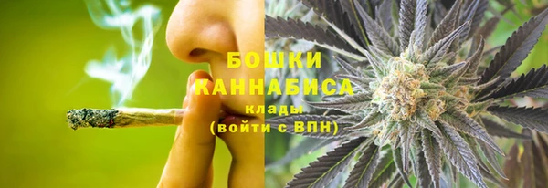 прущие грибы Иннополис