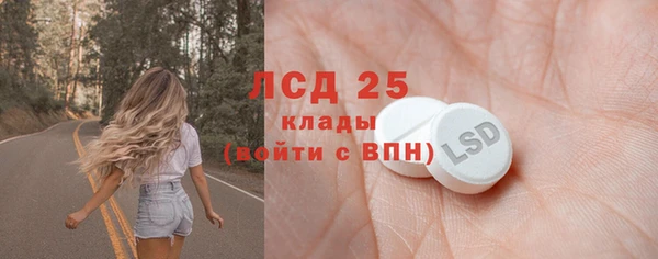ГАЛЛЮЦИНОГЕННЫЕ ГРИБЫ Инсар