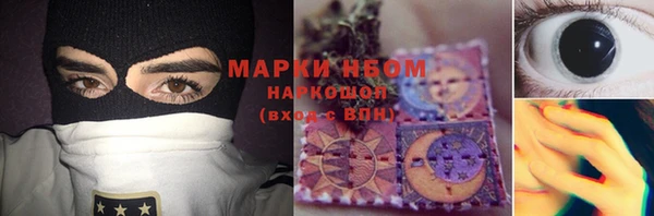 ГАЛЛЮЦИНОГЕННЫЕ ГРИБЫ Инсар