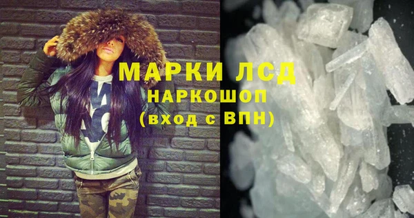 прущие грибы Иннополис