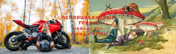 ГАЛЛЮЦИНОГЕННЫЕ ГРИБЫ Инсар