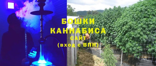 прущие грибы Иннополис