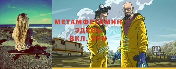 ГАЛЛЮЦИНОГЕННЫЕ ГРИБЫ Инсар