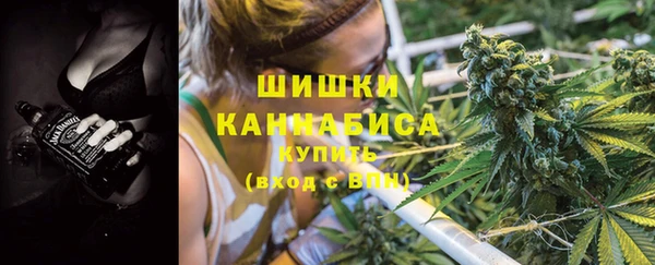 прущие грибы Иннополис