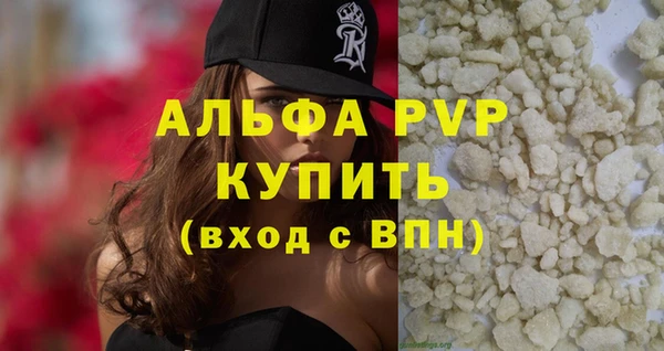 прущие грибы Иннополис