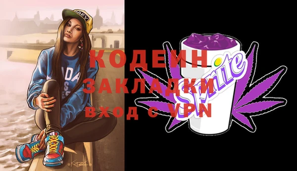 ГАЛЛЮЦИНОГЕННЫЕ ГРИБЫ Инсар