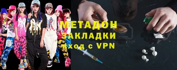 прущие грибы Иннополис