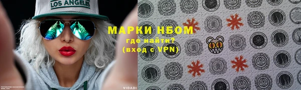 прущие грибы Иннополис
