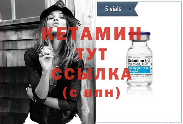 прущие грибы Иннополис