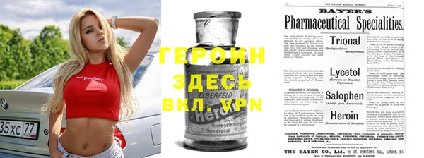 ГАЛЛЮЦИНОГЕННЫЕ ГРИБЫ Инсар