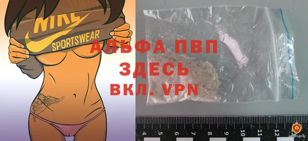 прущие грибы Иннополис
