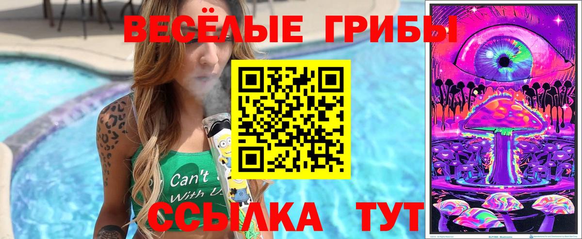 Киржач  Галлюциногенные грибы GOLDEN TEACHER  Вход с VPN 